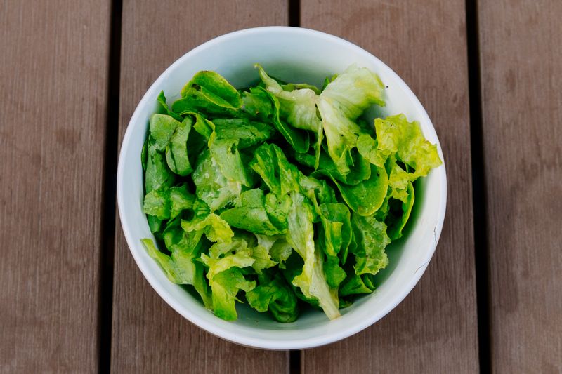 Fresh gourmet salad starter with seasonal vegetables